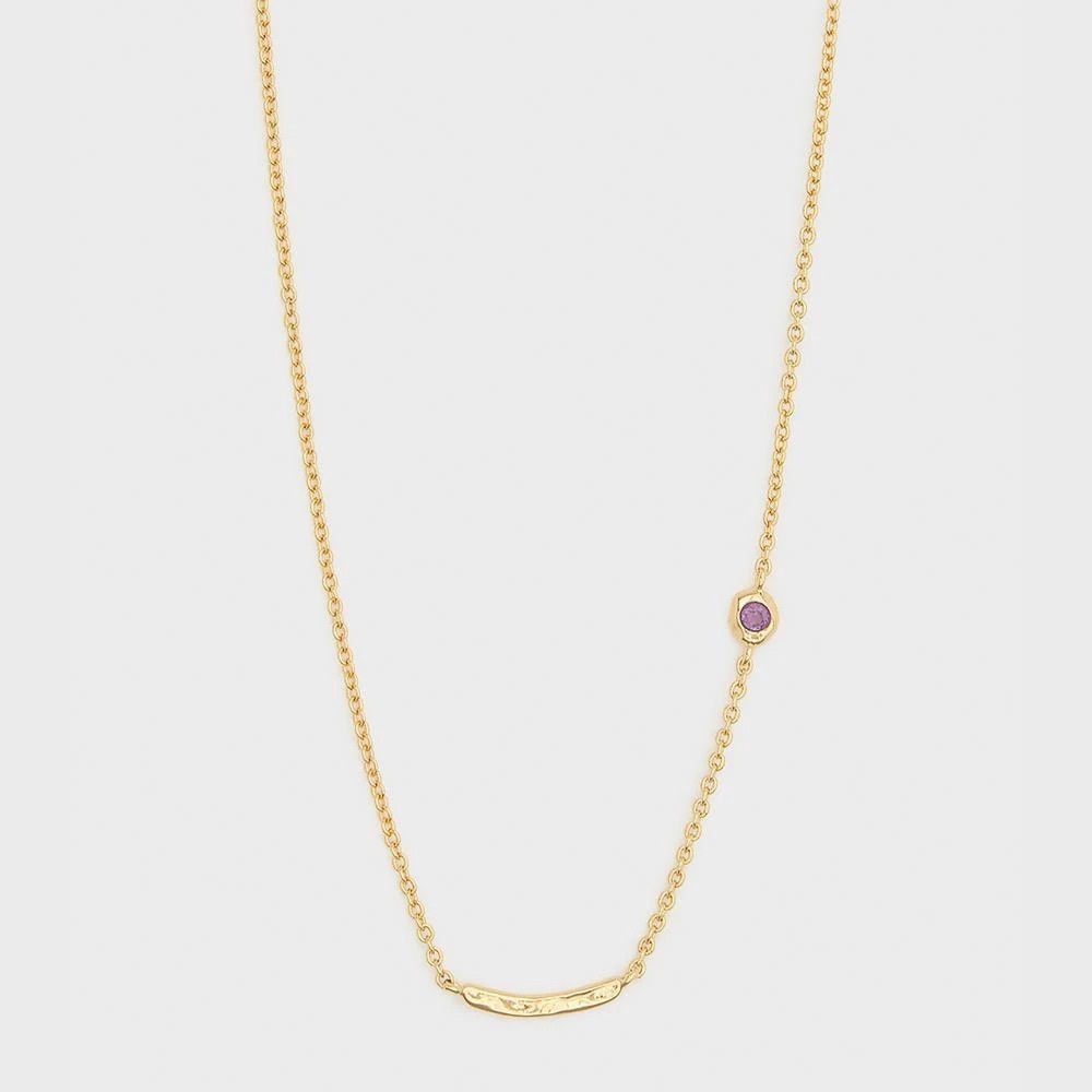 Gorjana Birth Stone Necklace - February